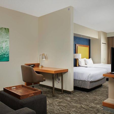 Springhill Suites By Marriott Baton Rouge North / Airport Extérieur photo